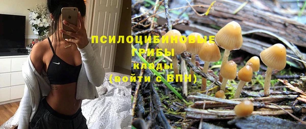 хмурый Абинск