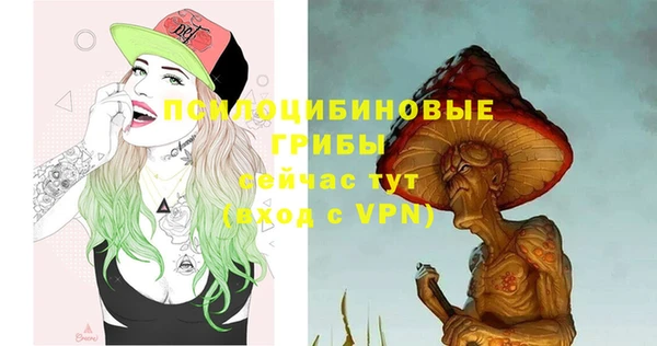 круглые Алзамай