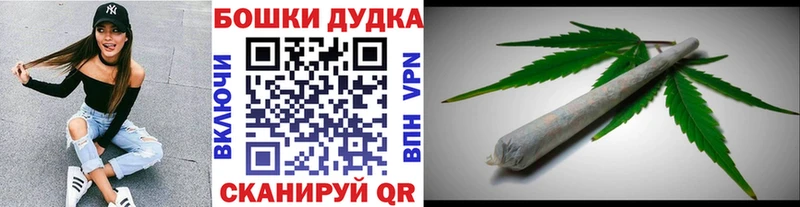 Бошки Шишки планчик  Вичуга 